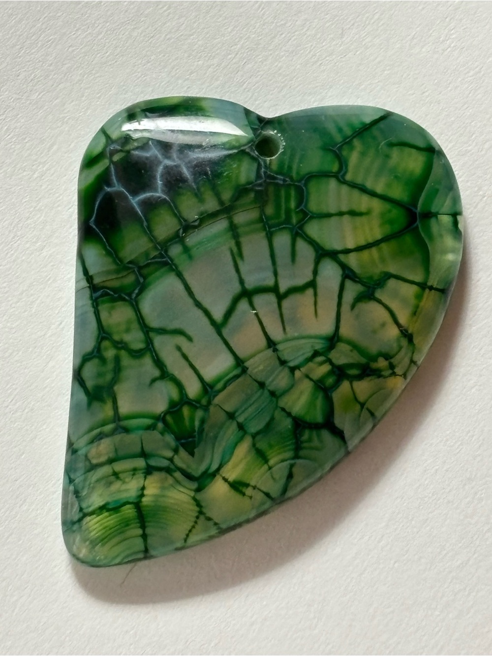 Close Up Vein Stem Leaf Phototropism Color Rock - Picture 16 of 16